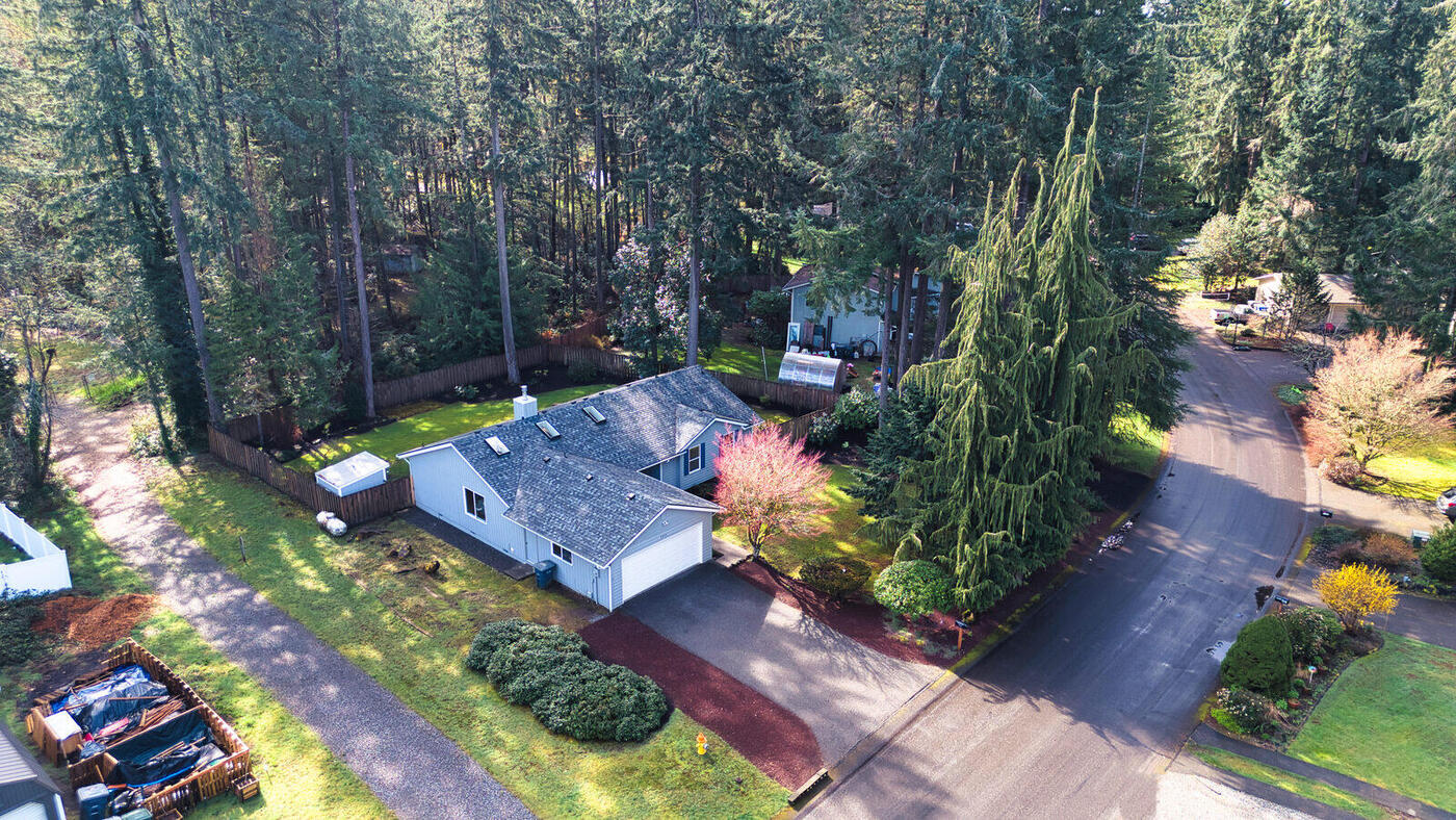 Spring aerial with cherry tree in bloom, Pacific Northwest
